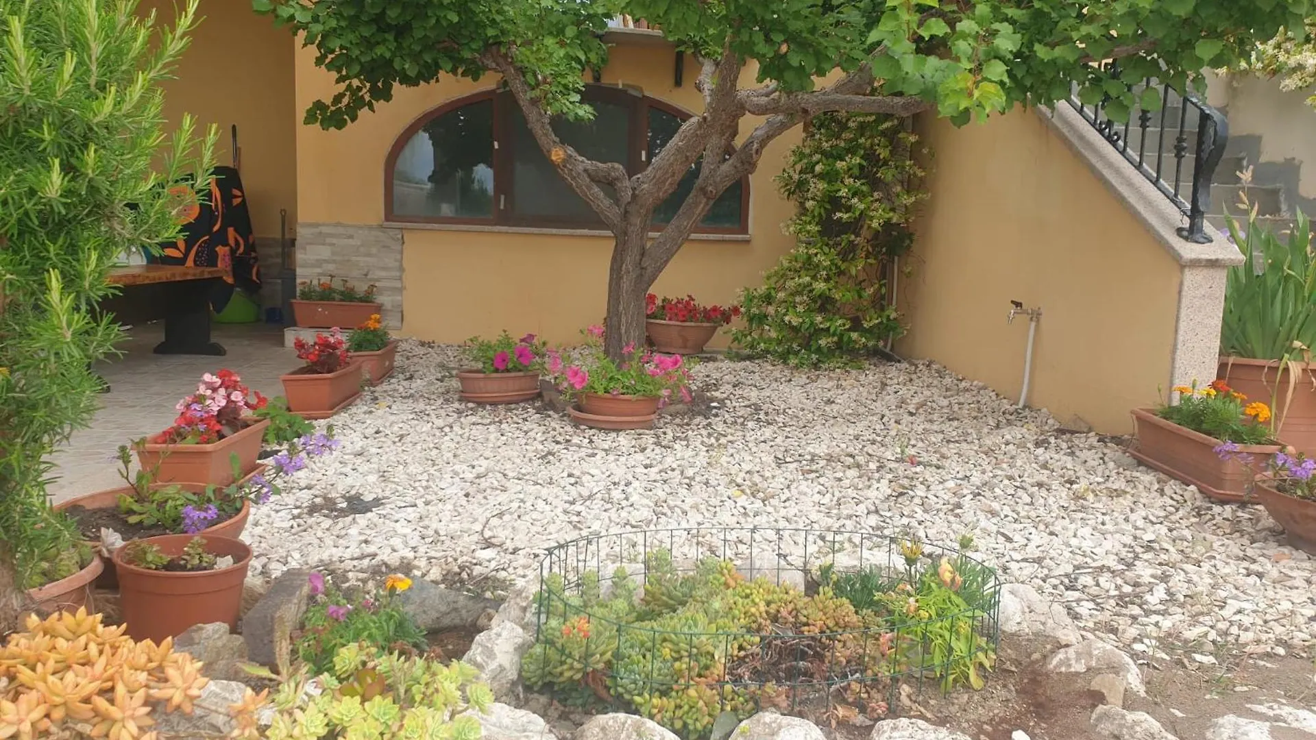 Appartamento Pina Caletta Sul Mare لا كاليتا إيطاليا
